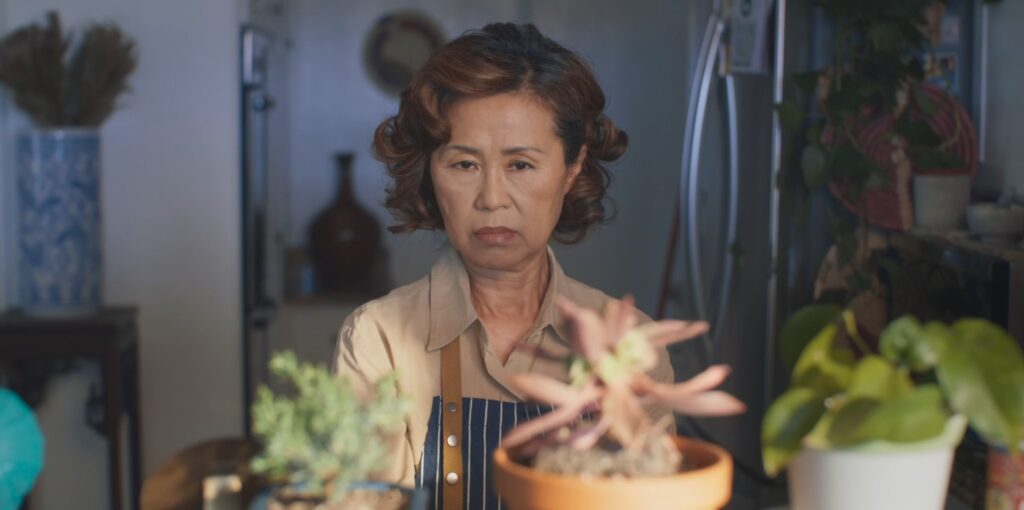 Don't Be Sorry - Angie Rhee